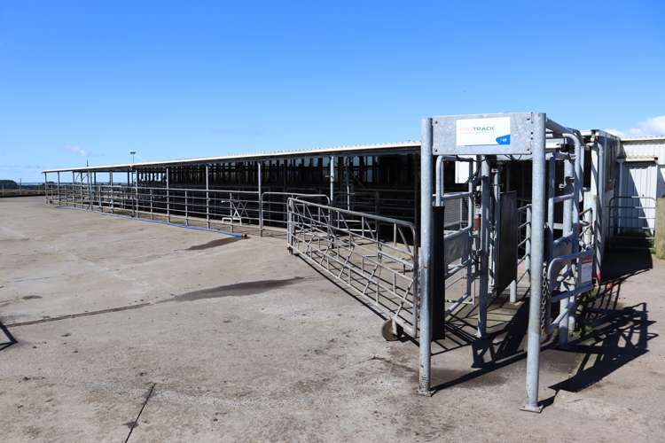 1430 Eltham Road Kaponga_9