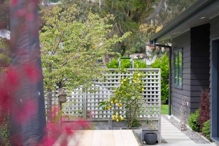 41 Mahia Lane Waikanae_22