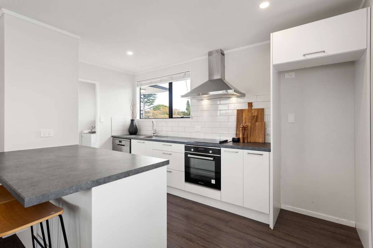 52A Rolleston Street_2