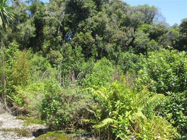 146 Havill Drive Hokitika_10