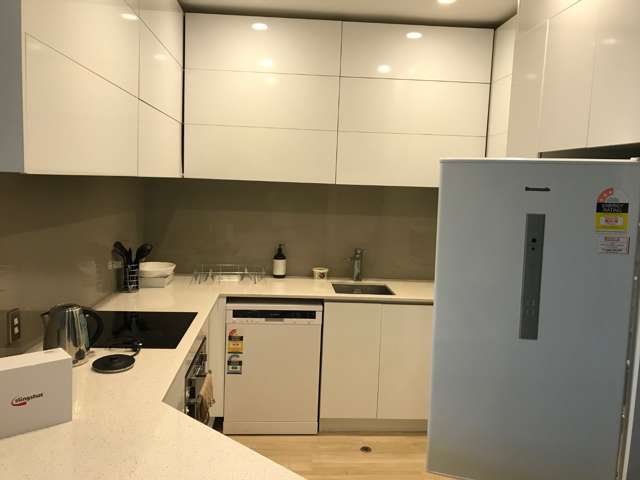 105 Albert Street 10015_4