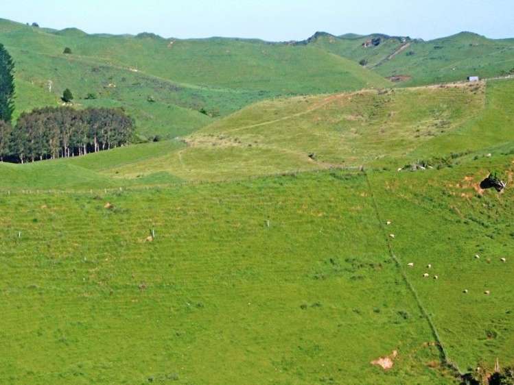 446 Stanley Road Te Popo_49