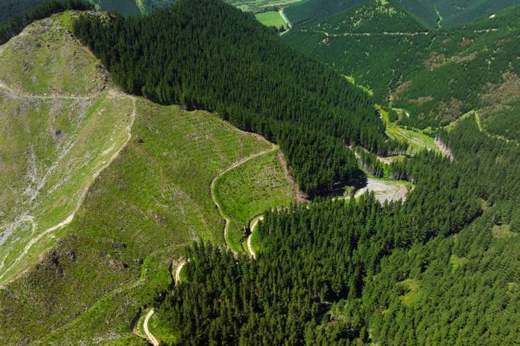 Waihopai Valley Road Waihopai Valley_8