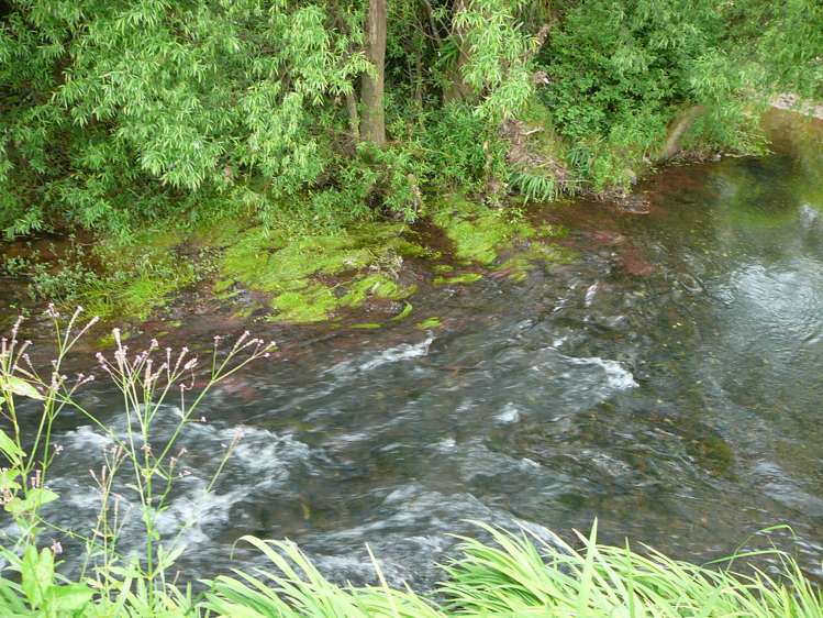 1314 Oruru Road Peria_11