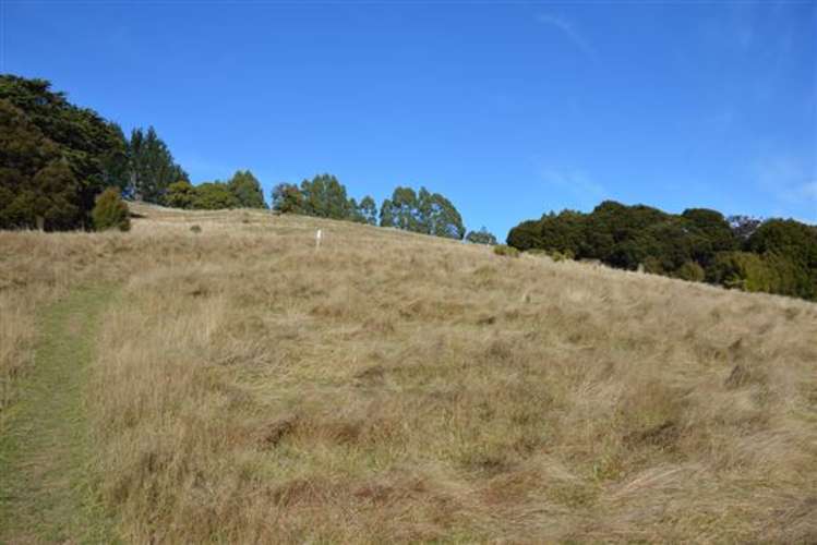 194 Grehan Valley Road Akaroa_6