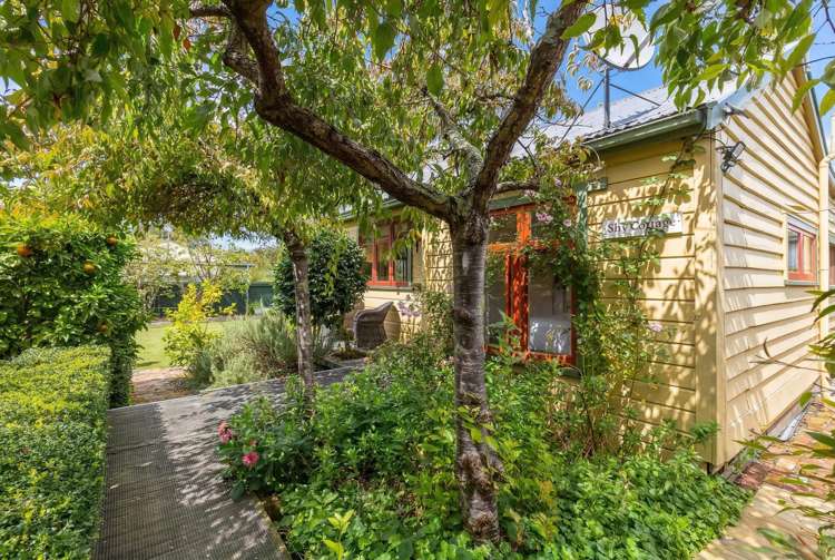 39 Main Street Greytown_20