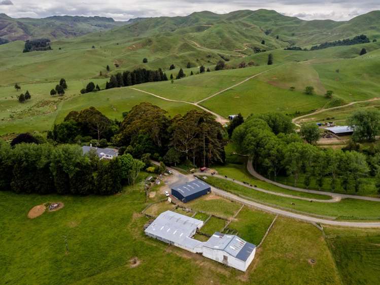 821 Waitetuna Valley Road Raglan_18