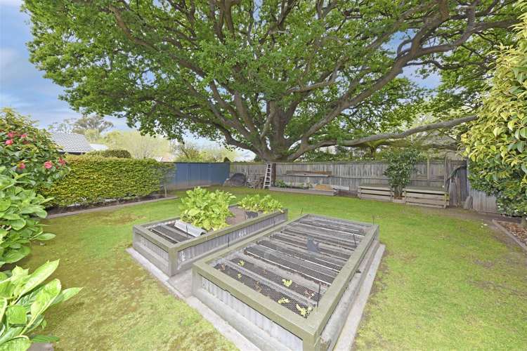 27 Acorn Close Waltham_6