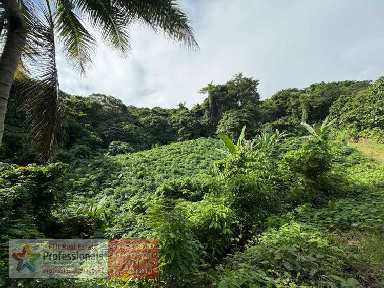 Address withheld Savusavu_9