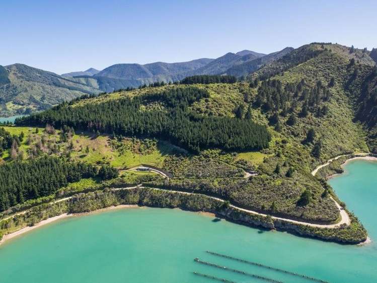 Waitaria Bay Kenepuru Sound_5