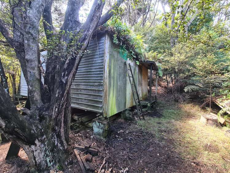 98 Kowhai Drive Coromandel_14