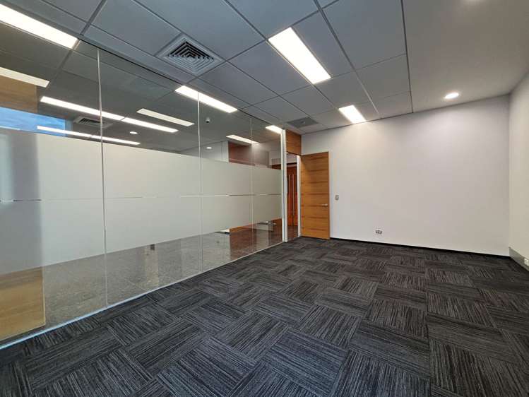 7 Show Place Addington_5