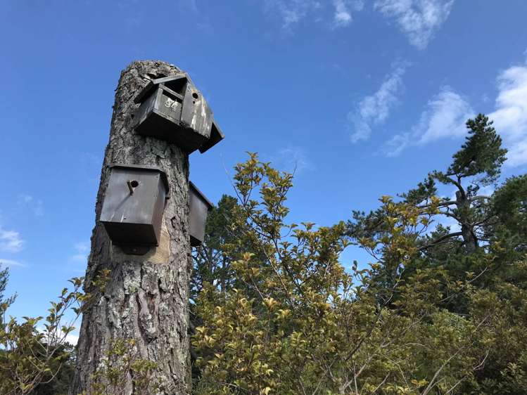 130a Wattle Bay Road Manukau Heads_12