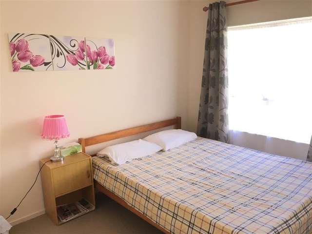 11a Albrecht Avenue Mount Roskill_3