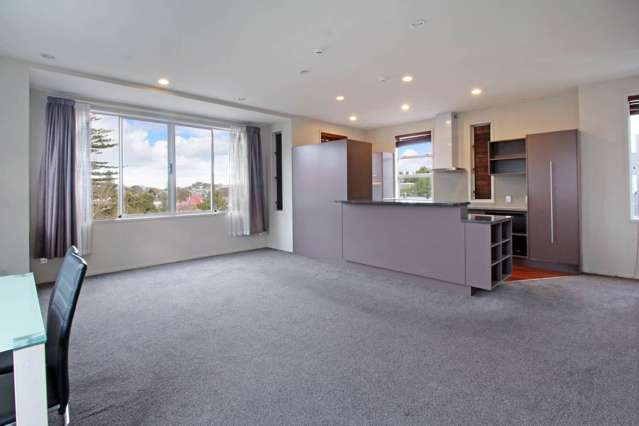 6a Carlton Gore Road Grafton_4