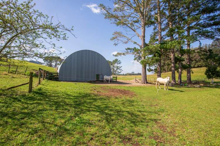 49 Brewster Road Pukekawa_21