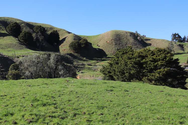 1141 Waingaro Road Glen Massey_9