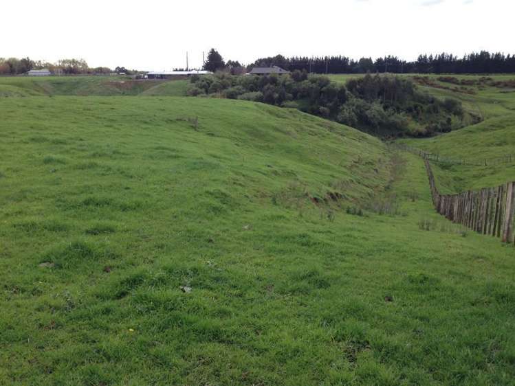 21 Highland View Drive Tokomaru_1