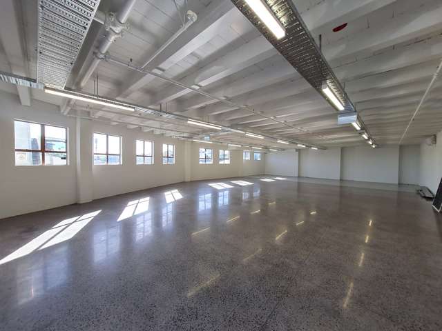 14 Akepiro Street Mt Eden_1