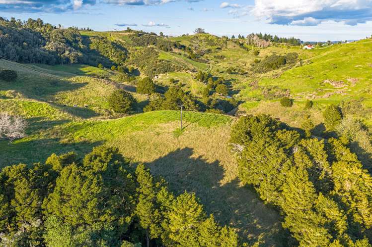 61A Porter Road Paparoa_18