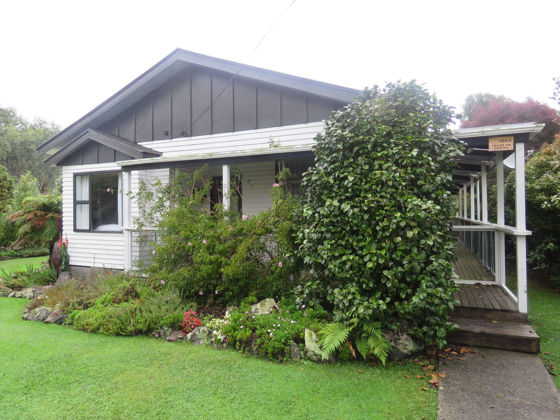 20 Greenfield Street Hector_0