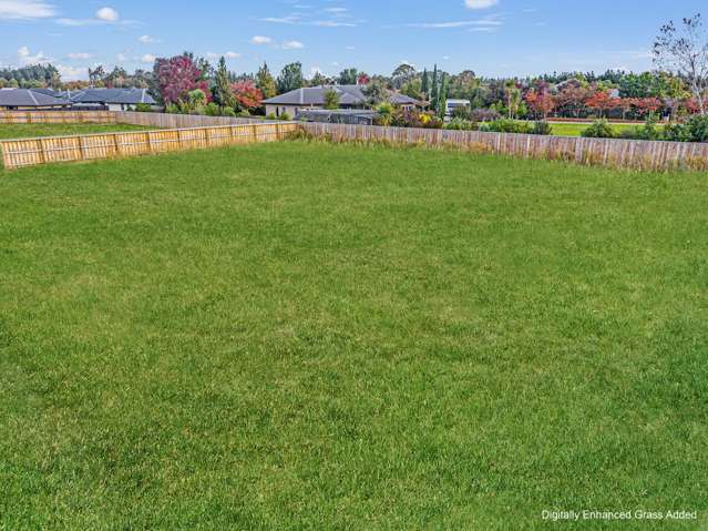 38A Benn Street Amberley_4