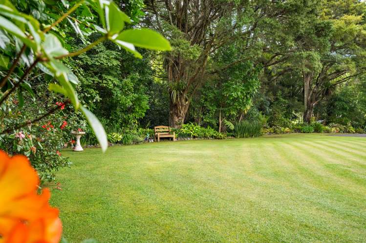 211 Whau Valley Road Whau Valley_33