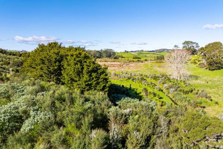 3/69A Vineyard Lane Mangawhai_12