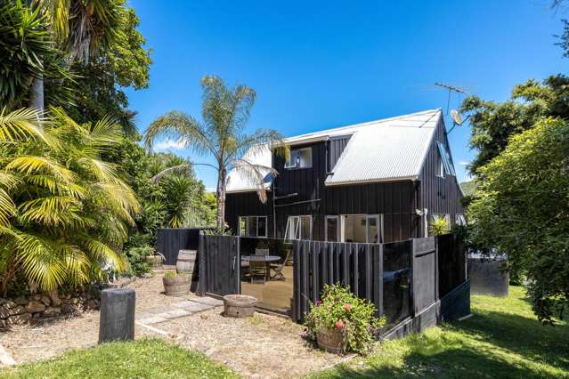 Near the sand, close to the vines