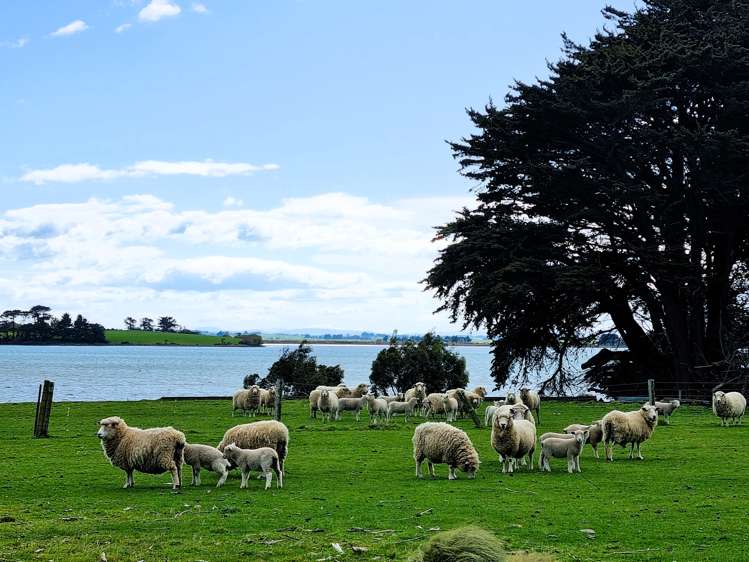 152 Orepuki Riverton Highway Riverton & Surrounds_23