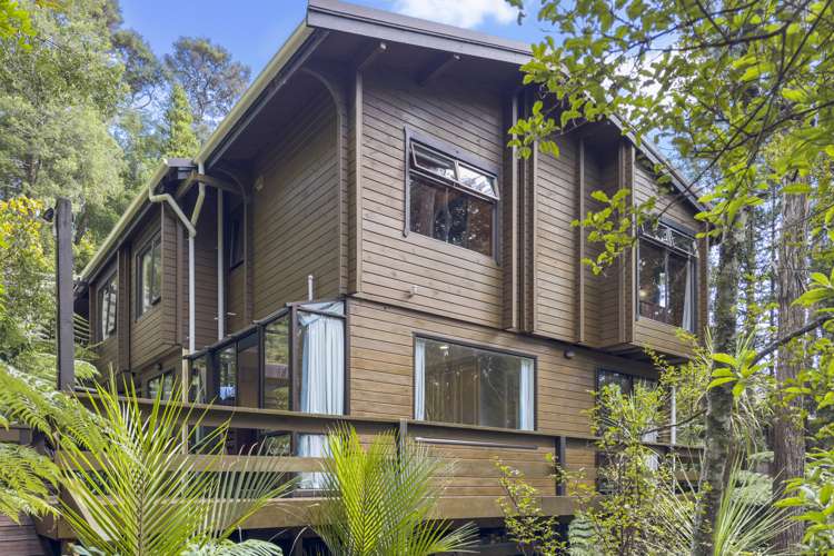 4 Kaurimu Rise Titirangi_20