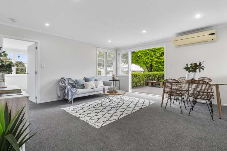 29f Harrisfield Drive Hairini_1