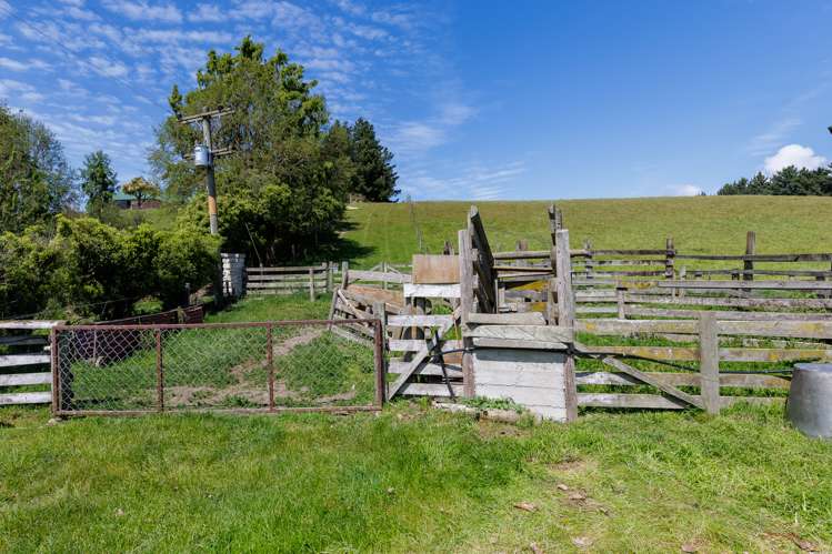 277 Hook School Road Makikihi_19