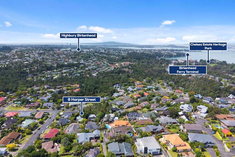 8 Harper Street Chatswood_20