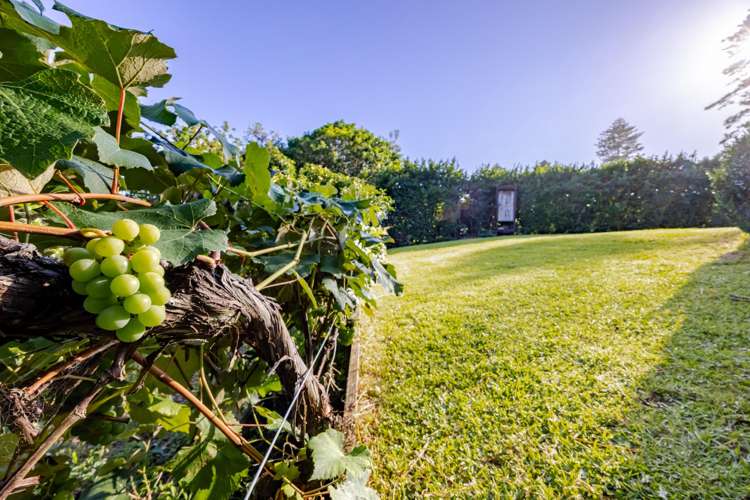 6/3382 Pourerere Road Waipawa_17