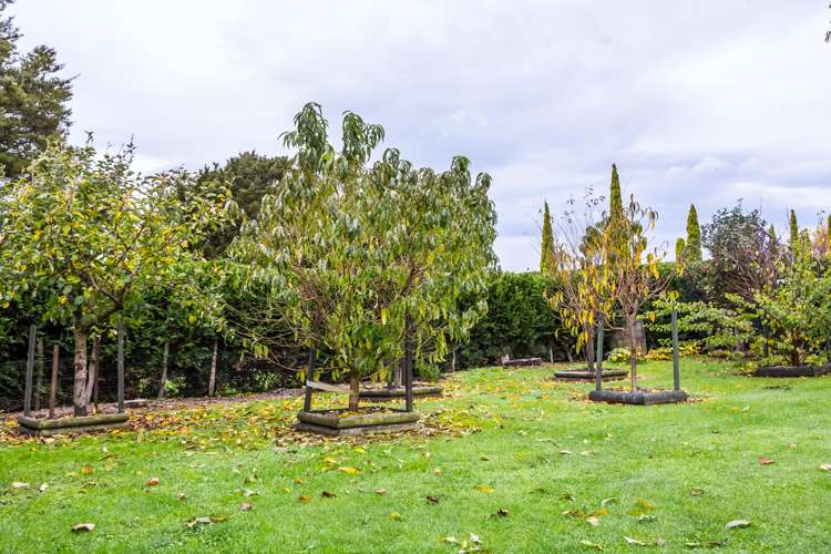 74 Charles Street Carterton_8