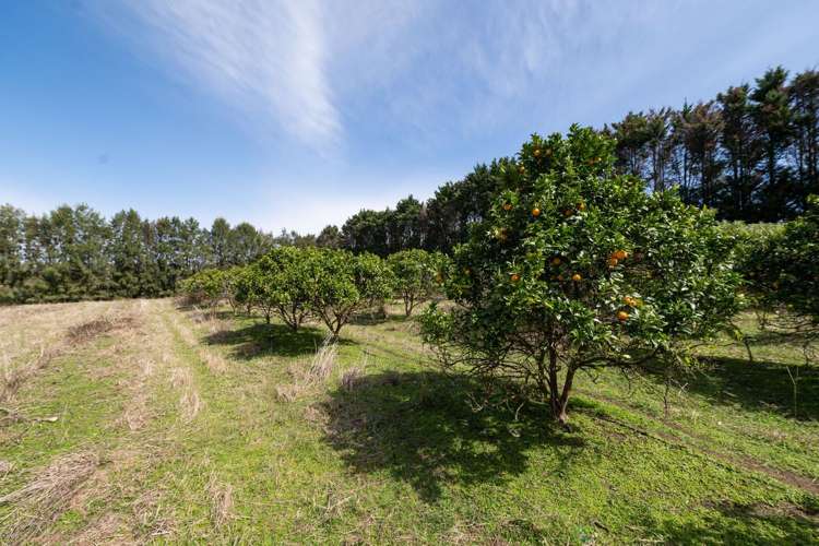 908A Te Ahu Ahu Road, Waimate North Kerikeri_25