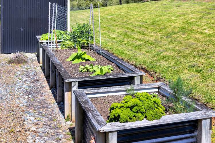 88 Leccino Valley Road Mangonui_33