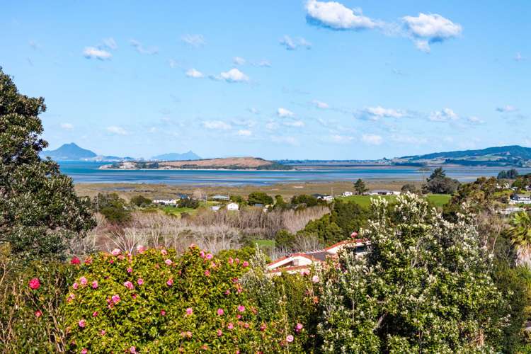 6 Clark Mcconachy Place Raumanga_15