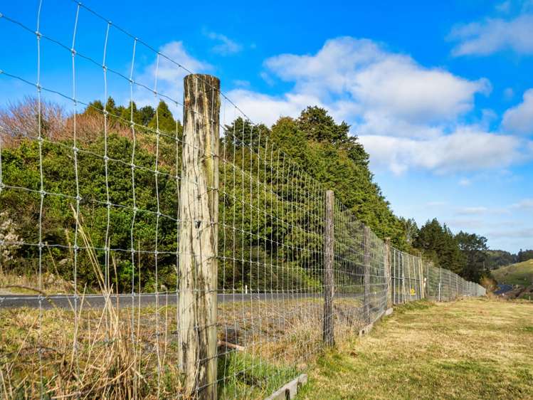 1095 Taumata Road Omanawa_46
