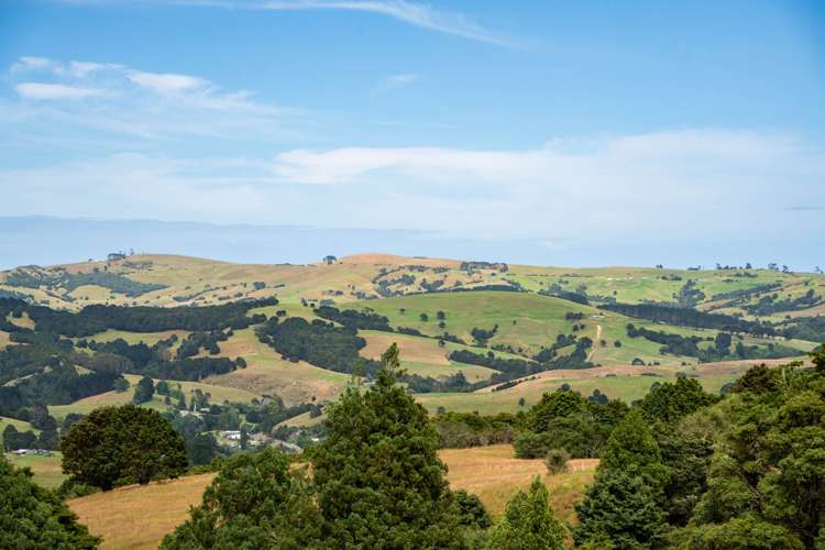 339 Mangatu Road Dargaville Surrounds_12