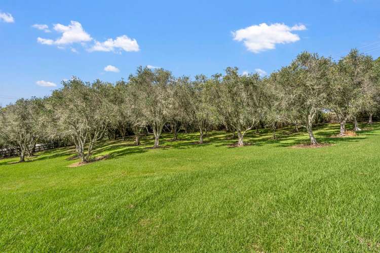 2342 Cove Road Mangawhai_27