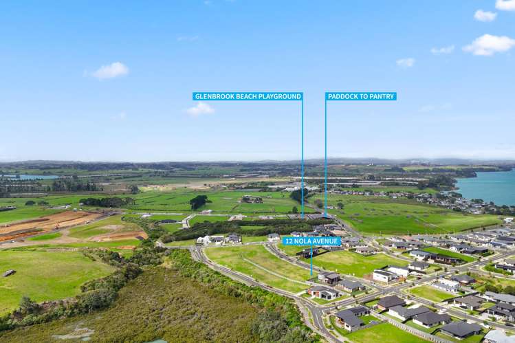 12 Nola Avenue Glenbrook_7