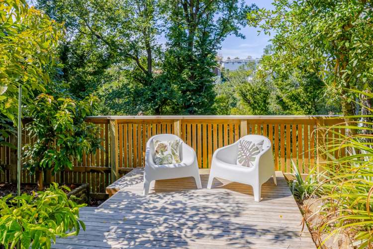 17 Roslyn Road Bluff Hill_22