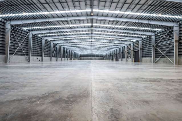 Neilson Street Onehunga_1