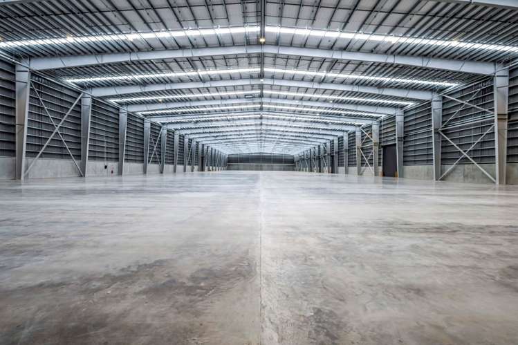 Neilson Street Onehunga_1