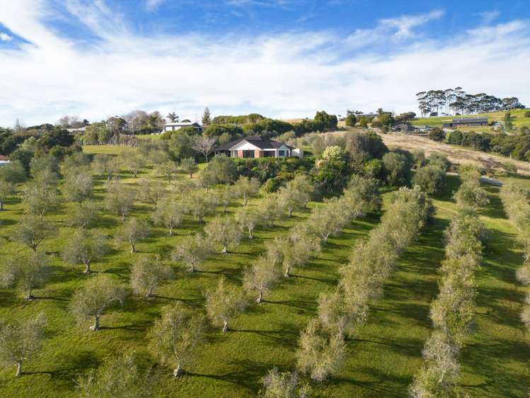 37 Puketiti Drive Mangonui_31