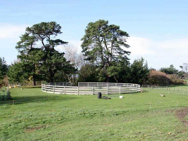 1363 Wellington Road Marton_5