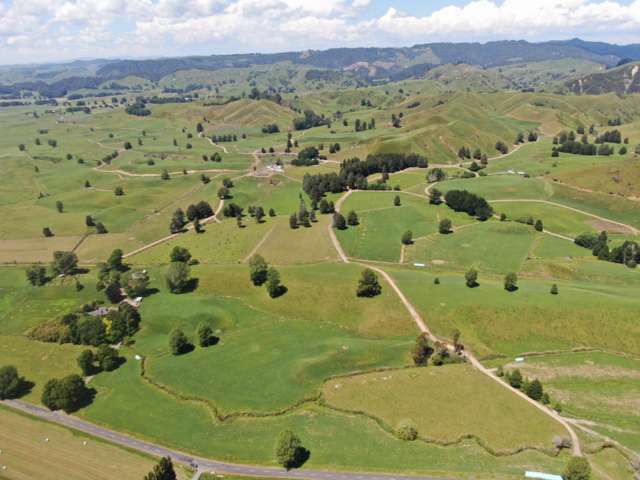 Affordable Dairy Opportunity