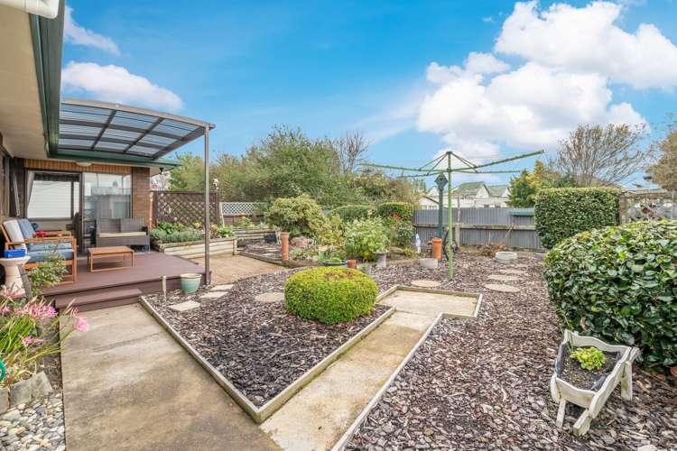 354 Tay Street Turnbull Thomson Park_19